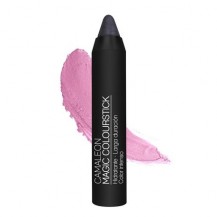 CAMALEON MAGIC COLOURSTICK GRIS 4G.