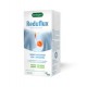 BENEGAST REDUFLUX  LIQUIDO 15 SOBRES